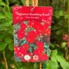 Red Miniature Climbing Rose 'Ruby Rambler' 3Ltr Pot -Cheap Shrub And Spray Store 5019801772066