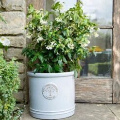 Woodlodge 38cm White / Cream Glazed Heritage Cylinder Pot -Cheap Shrub And Spray Store 5021346424430