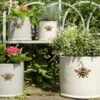 Woodlodge 29cm Wisteria Bee Cylinder Planter