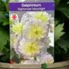 Delphinium 'Moonlight' 3Ltr Pot -Cheap Shrub And Spray Store 5021768046050