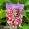 Digiplexis 'Falcon Fire' 3Ltr Pot -Cheap Shrub And Spray Store 5021768139103 55fd2030 f7b2 4893 a1fd e1eb5cfe0c2f