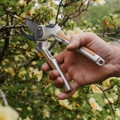 Kent & Stowe Eversharp Bypass Secateurs -Cheap Shrub And Spray Store 5023377015816 3