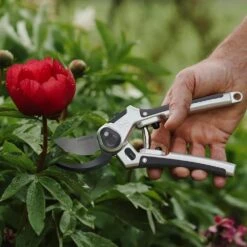 Eversharp All Purpose Secateurs -Cheap Shrub And Spray Store 5023377019623 5
