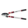 Darlac Telescopic Ratchet Lopper 2 Darlac Telescopic Ratchet Lopper -Cheap Shrub And Spray Store 5038210003479