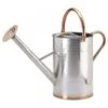 Smart Garden 9 Litre Galvanised Steel Watering Can 2 Smart Garden 9 Litre Galvanised Steel Watering Can -Cheap Shrub And Spray Store 5050642047234 2302db94 df29 471a b2b0 3be02c85f72a