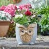 Flamboya 23cmWoodstone Owl Planter -Cheap Shrub And Spray Store 5050642048118