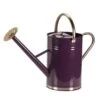 Smart Garden 9 Litre Violet Metal Watering Can 2 Smart Garden 9 Litre Violet Metal Watering Can -Cheap Shrub And Spray Store 5050642069991 bb1d1b4b 5c00 4767 bfda a5c5e02a4125