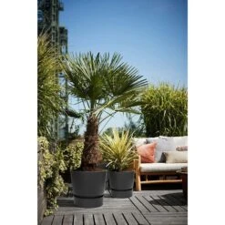 Elho 25cm Living Black Greenville Round Planter -Cheap Shrub And Spray Store 8711904332334 5