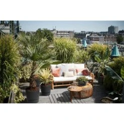 Elho 30cm Living Black Greenville Round Planter -Cheap Shrub And Spray Store 8711904332358 5