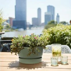 Elho 33cm Leaf Green Greenville Bowl Planter -Cheap Shrub And Spray Store 8711904332464 4