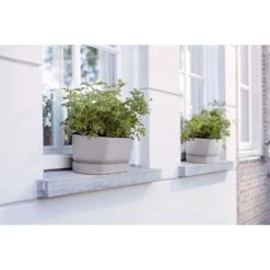 Elho 50cm Living Concrete Greenvillle Long Trough Planter -Cheap Shrub And Spray Store 8711904358440 4