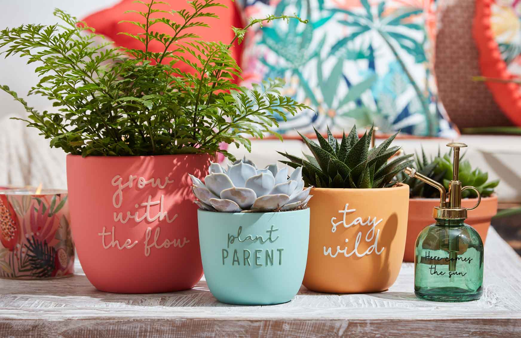 Cheap Shrub And Spray Store -Cheap Shrub And Spray Store super bloom pots and planters bm